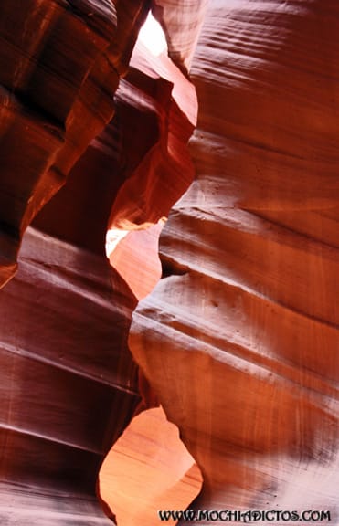 ANTELOPE 3