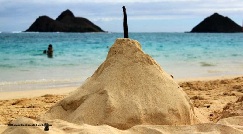 Hawaii en 7 días
