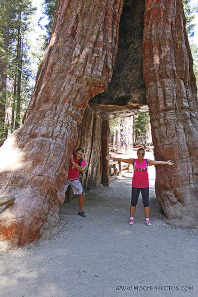 Visitar Yosemite park