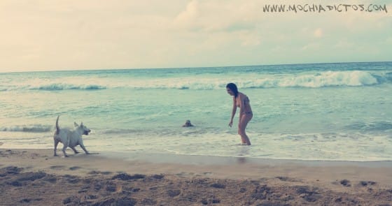 Playas pública Pinta cana