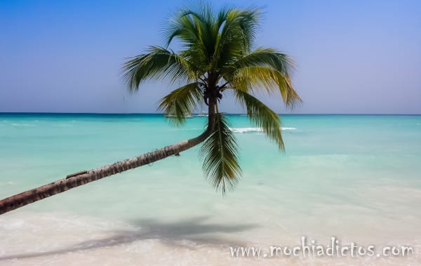 Excursion a Isla Saona