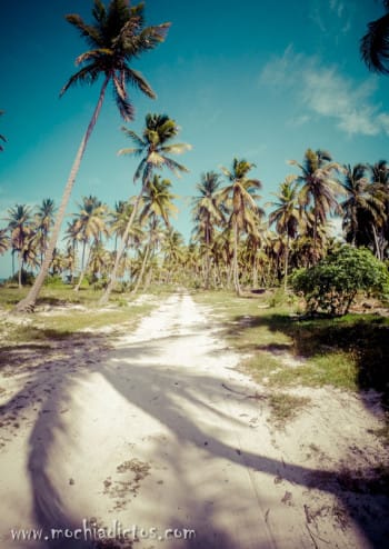 GOPR0367