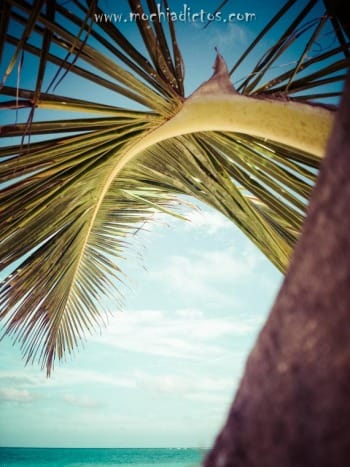 White sand bavaro