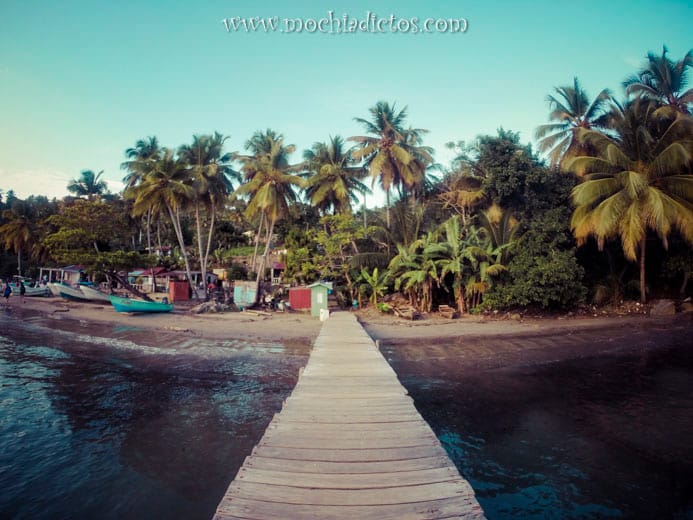 Samana (20)