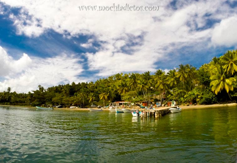 Samana (2)