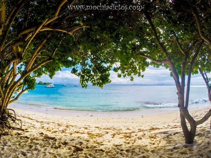 Samana (5)
