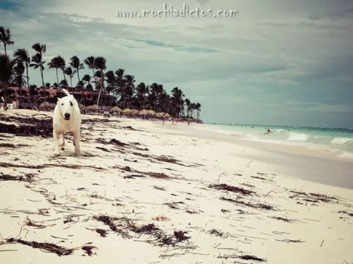 White sand Bavaro