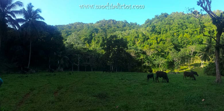 Ruta Parque Nacional Haitises