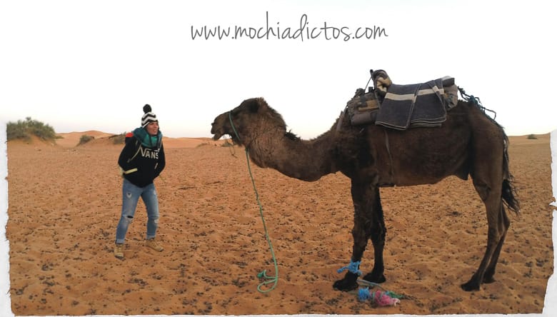 excursión desde marrakech al desierto en tres días