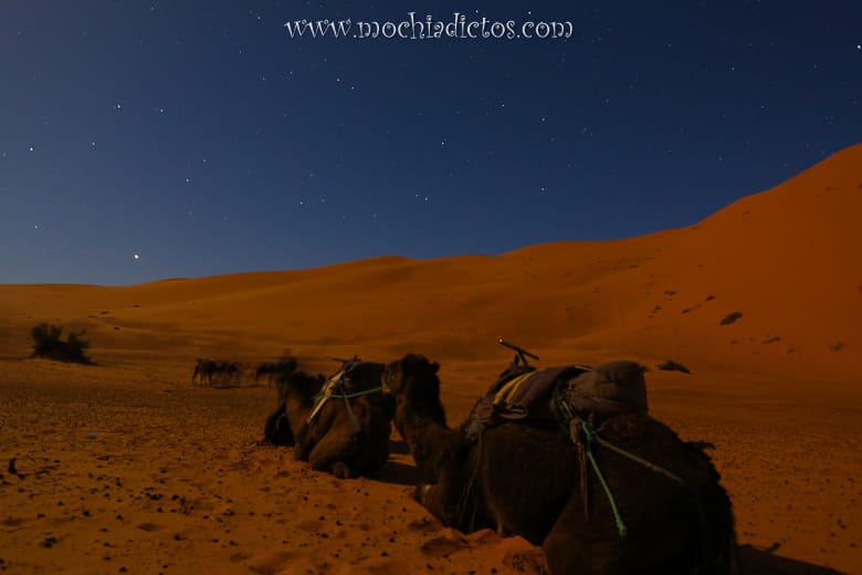 excursión desde marrakech al desierto en tres días