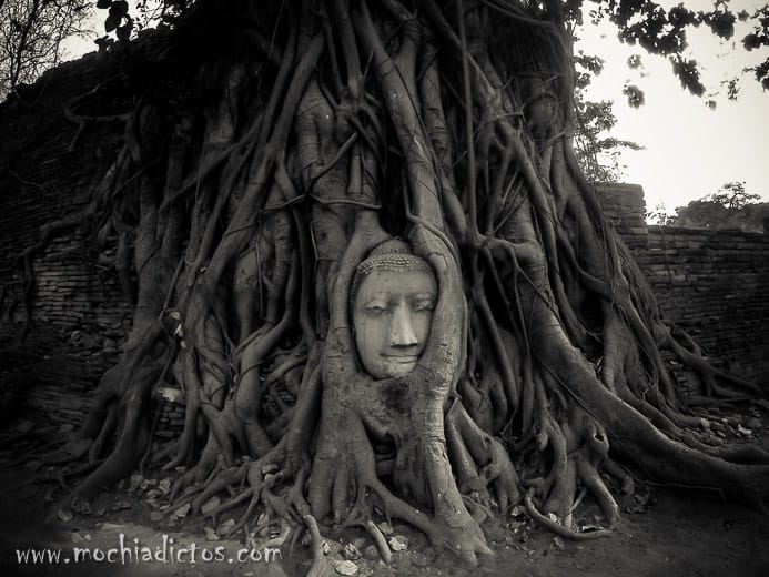 Dos dias en Ayutthaya