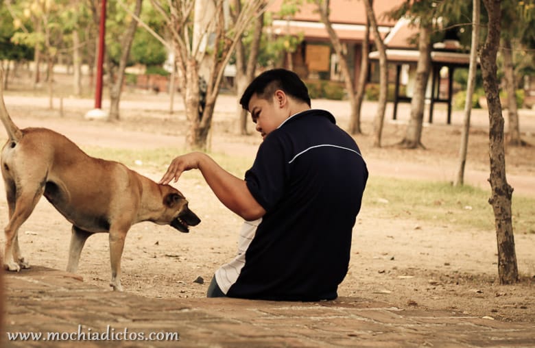 Dos dias en Ayutthaya