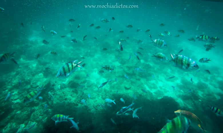 Tres días en Kho Phi Phi