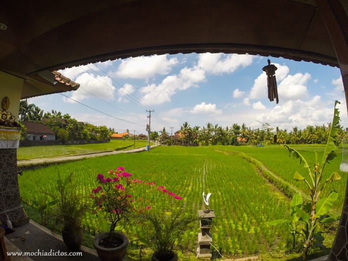 Donde Dormir en Ubud