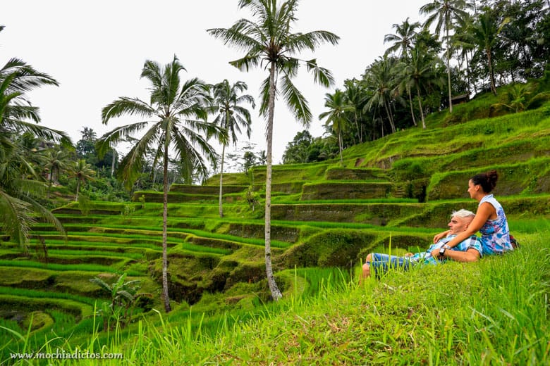Mochiadictos en Bali 2015