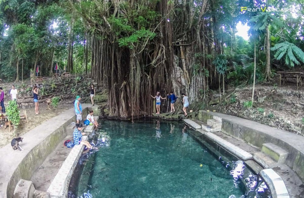 Árbol centenario Siquijor, Filipinas