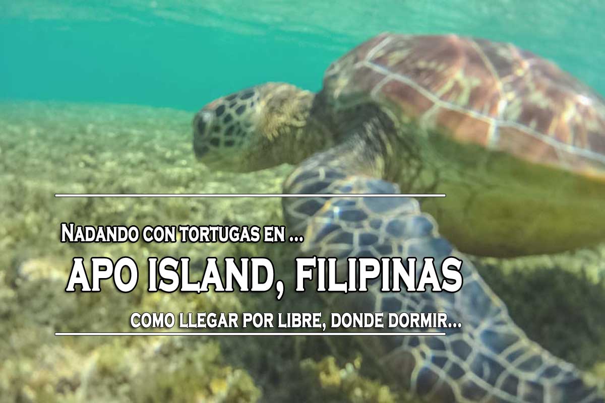 apo-island-filipinas