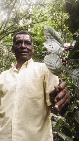 Ruta Parque nacional haitises