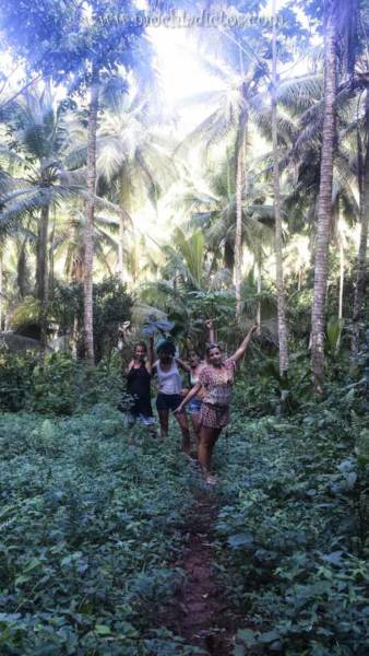 Ruta Parque Nacional Haitises
