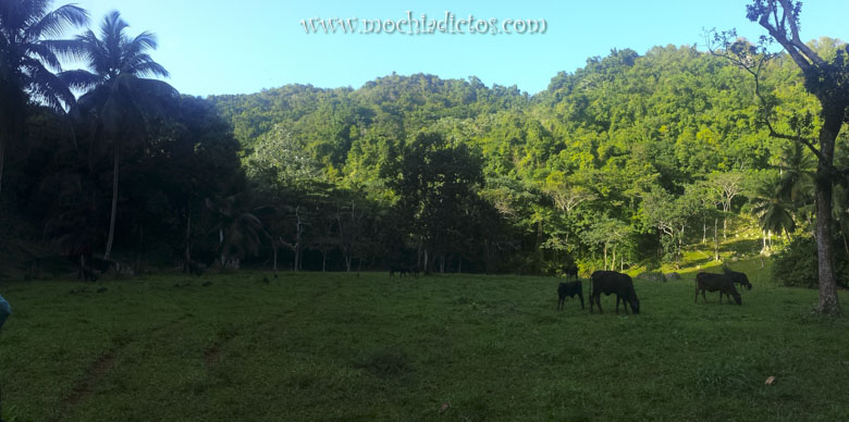 Ruta Parque Nacional Haitises