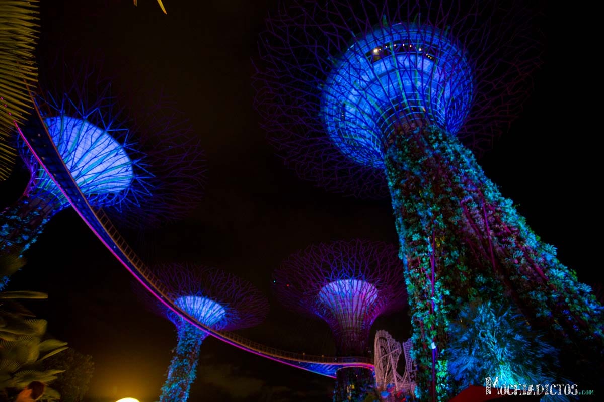 que ver Singapur Mochiadictos