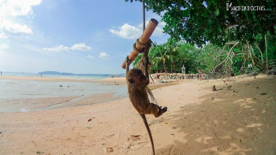 Que ver Hacer en Ao Nang,Krabi GRATIS