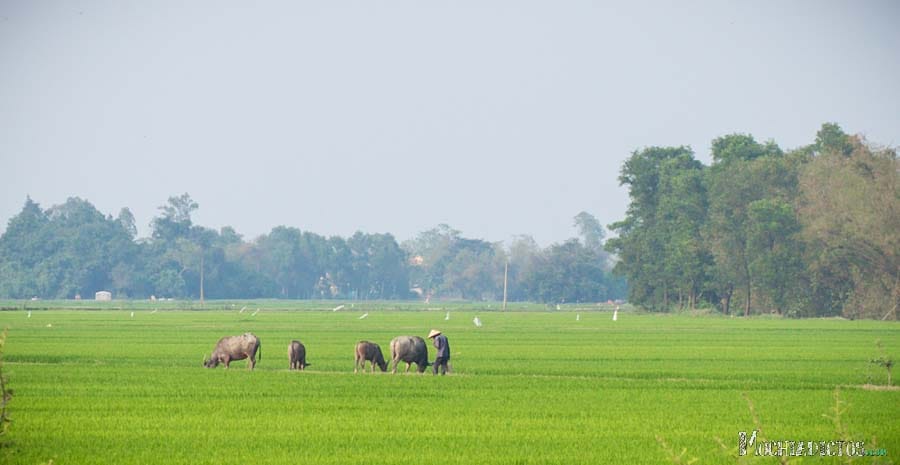 Que ver y que hacer en Hué,Vietnam.