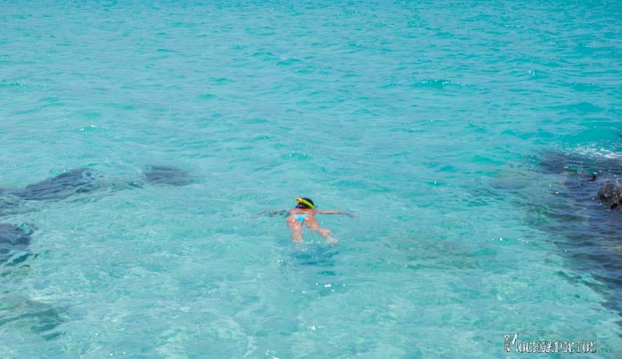 Snorkel en Coral Beach. Foto: Fran Vargas www.franvargas.com