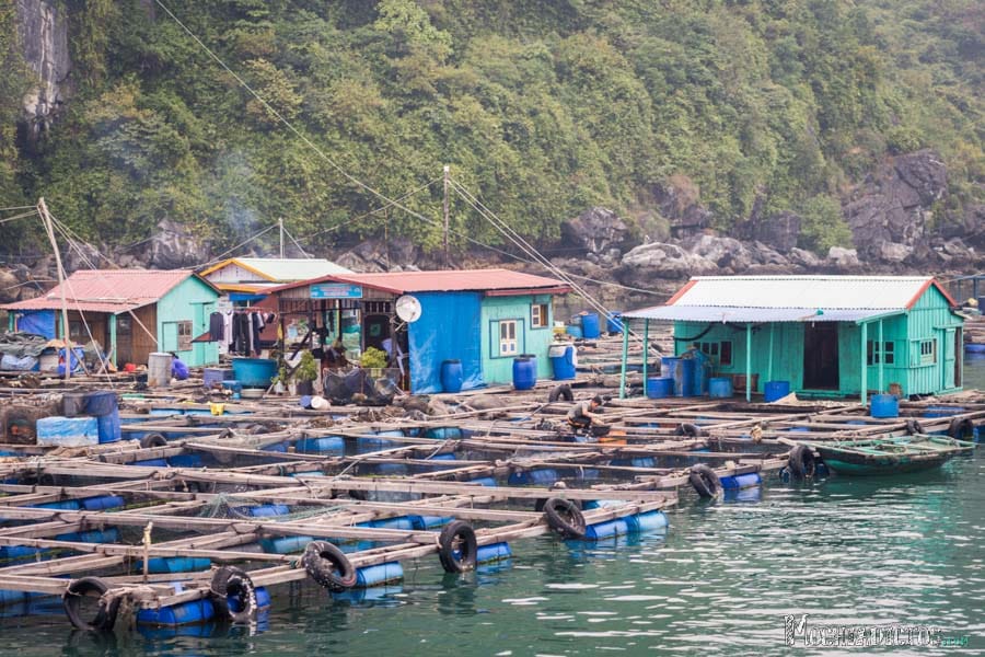 Que ver y que hacer en Vietnam,Halong Bay. www.mochiadictos.com-11