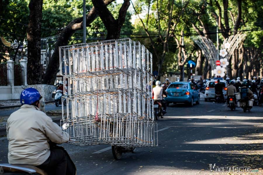 Las motos pueden llevar de todo
