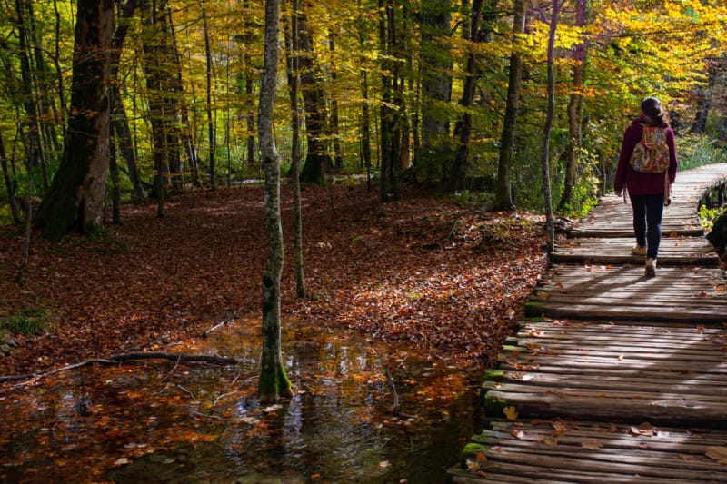 Que ver en Croacia, Lagos Plitvice