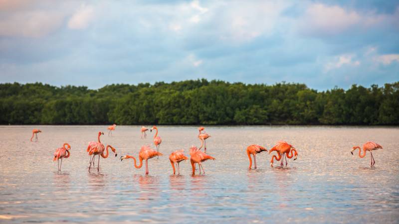 que visitar en México Qué ver en México, imprescindibles