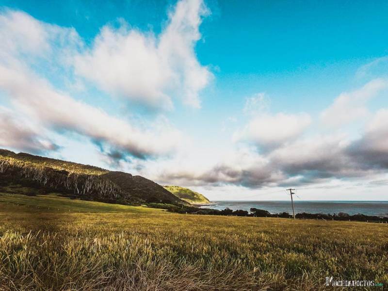 Que ver en la Great Ocean Road, Australia