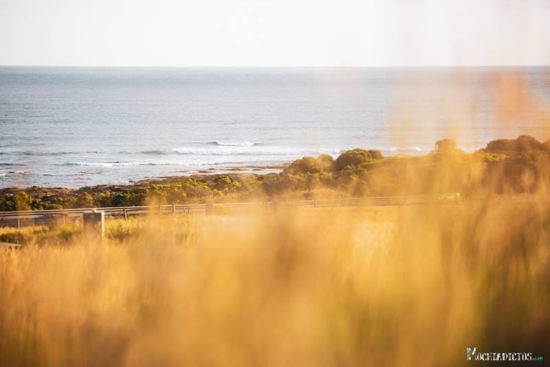 Que ver en la Great Ocean Road, Australia