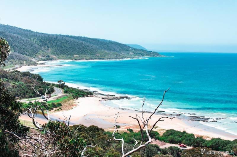 Que ver en la Great Ocean Road, Australia
