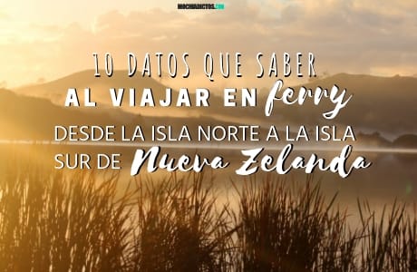 10 datos que saber al viajar en Ferry desde la isla norte a la isla sur de Nueva Zelanda