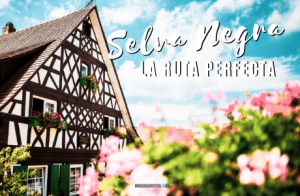 Ruta por la selva negra.