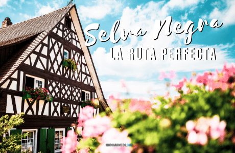 Ruta por la selva negra.