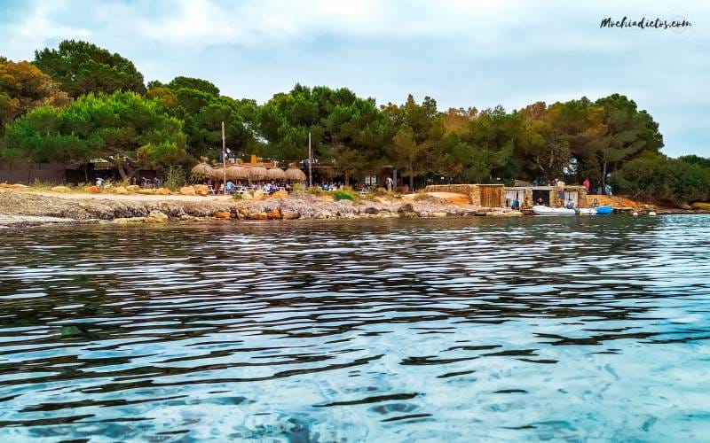 Viajar a Ibiza con niños