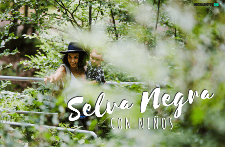 Viajar a la selva negra con niños