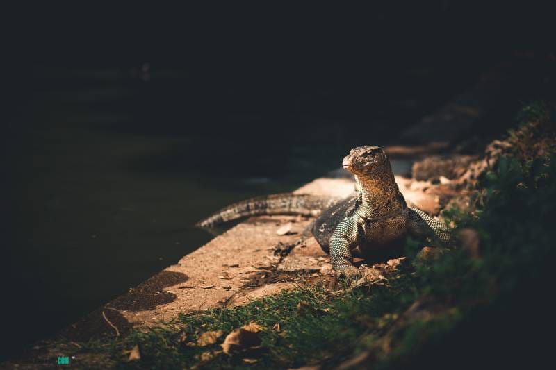 Que hacer en Tailandia, Bangkok
