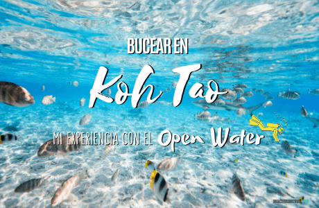 Bucear en Koh Tao, Open Water