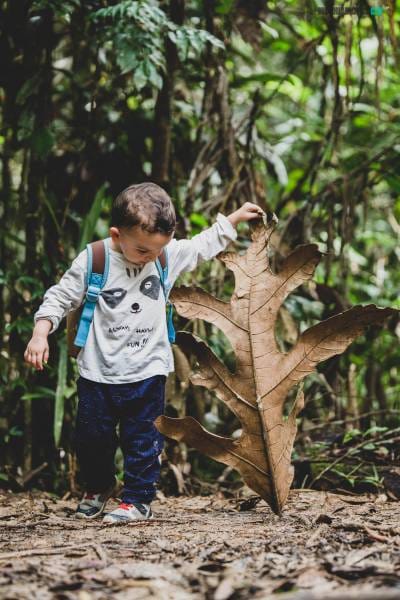 Borneo con niños
