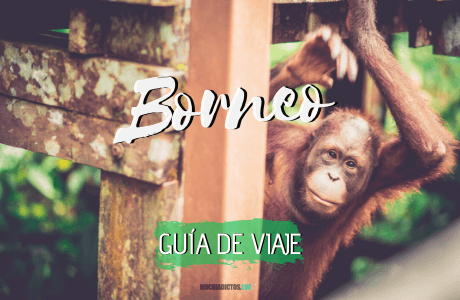 Guía de viaje Borneo