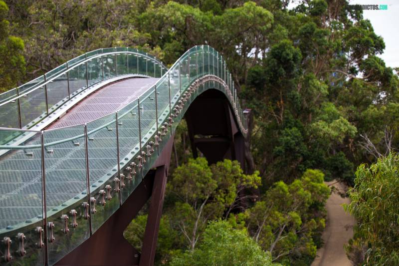 Kings Park, Perth