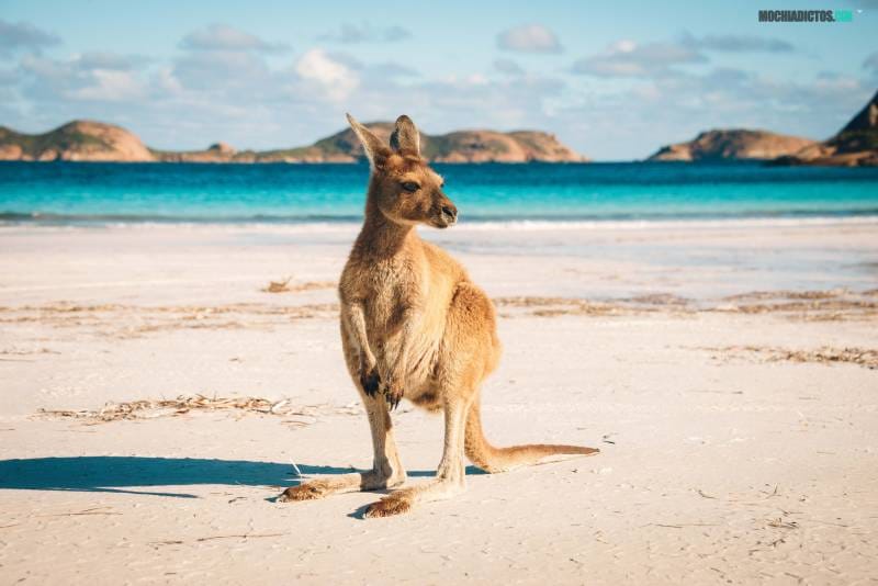 Que ver en Western Australia0
