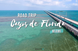 Road Trip por los cayos de Florida