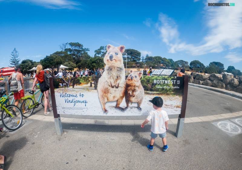 Rottnest Island consejos