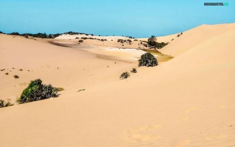 imprescindibles Mozambique