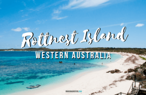 visitar Rottnest Island, Western Australia